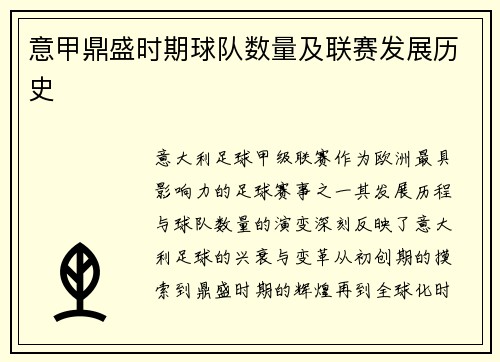 意甲鼎盛时期球队数量及联赛发展历史